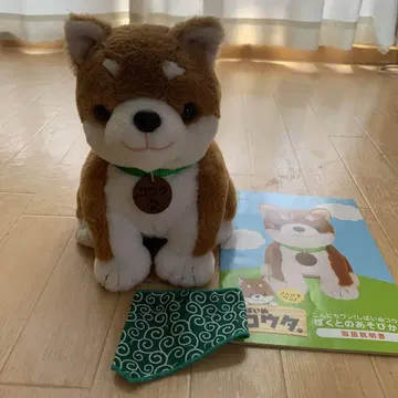 안녕 원! 시바견 코우타