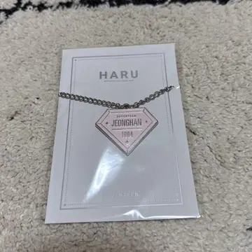 SEVENTEEN HARU 정한 키링