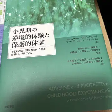 소아기 역경적 체험과 보호적 체험