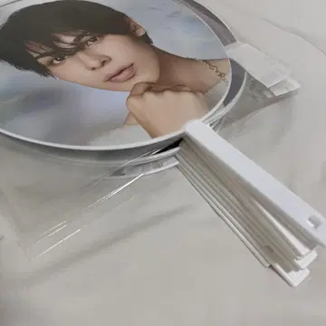 SnowMan 라울 부채 묶음 판매