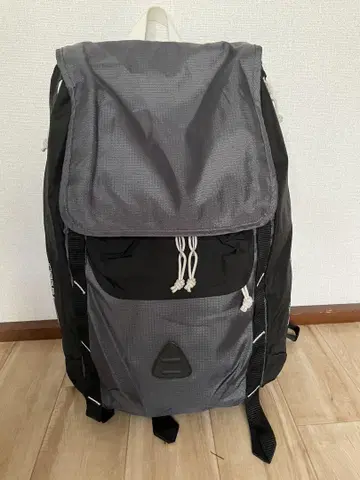 잔스포츠 JanSport 백팩