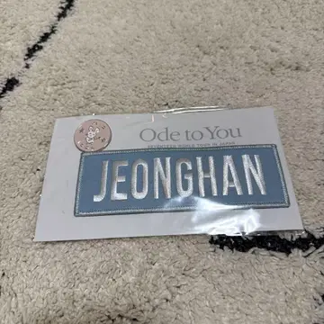 SEVENTEEN ODE TO YOU 정한 배지 세트