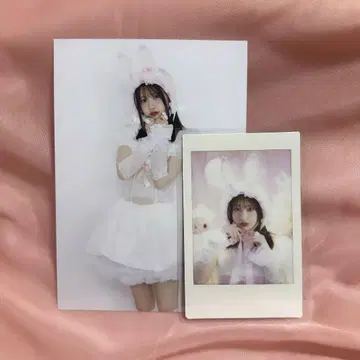 PiKi 벚꽃 사쿠라바 하루카 폴라로이드 + 브로마이드
