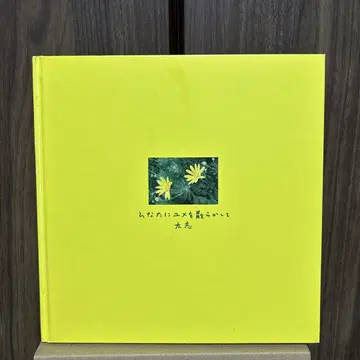 히나타에 꿈을 흩뿌리고