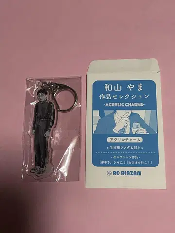 와야마 야마 아크릴 참 니카이도
