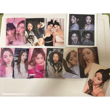 윤진 트레이딩 카드