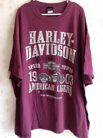 HARLEY DAVIDSON 할리데이비슨 퍼플 3L 반팔 티셔츠