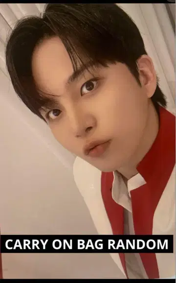 ateez aniteez 캐리온백 랜덤 종호