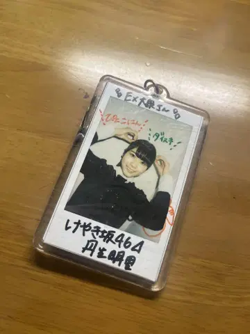 니부 아카리 사인 폴라로이드 EX 대중