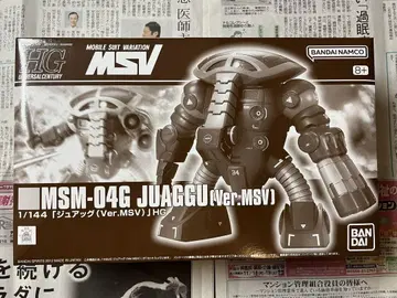 HG MSM-04G 슈앗그 MSV 1/144