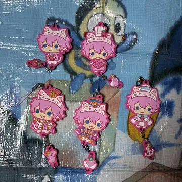 사토미군 애니멀 러버 키링 5개 세트