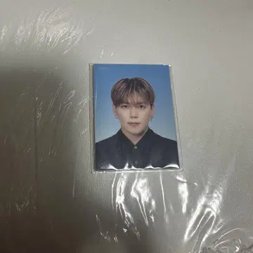 카노 요시마사 증명사진풍 스티커 발리보 ASIA 회장 한정판 가챠