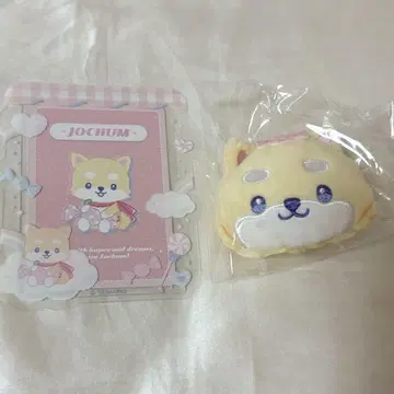 JO1 마메하라 잇세이 JOCHUM 마메치이 캔디 경질 케이스 브로치