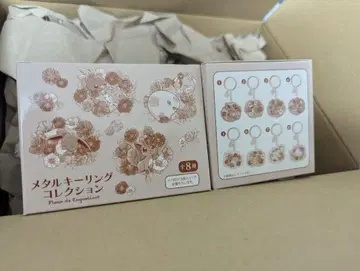 포켓몬스터 메탈 키링 컬렉션 (1BOX) x 2