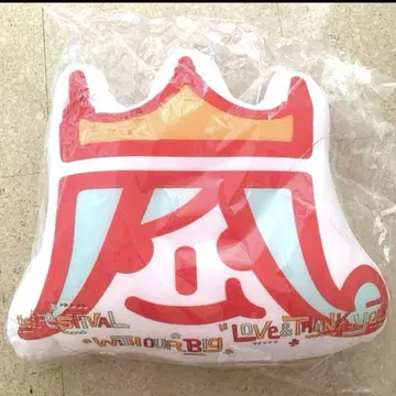 아라시 아라페스 굿즈 비즈 쿠션