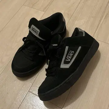 00s Vans skateshoes