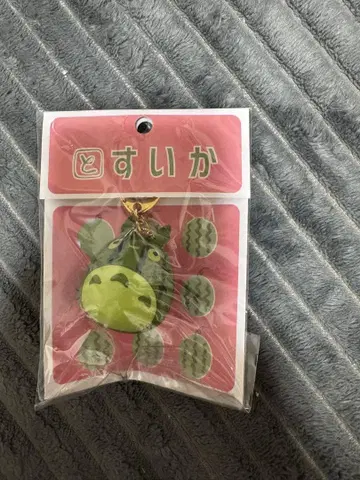 동동이 공화국 이웃집 토토로 갓 수확한 수박 키링