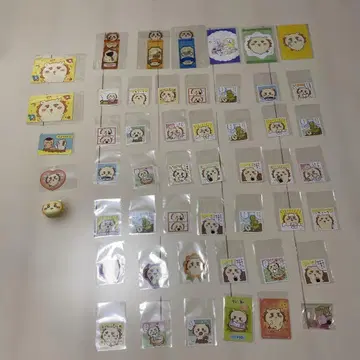 치이카와 시사 묶음 판매