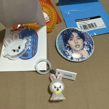 SKZ SAUNA 랜덤 캔 배지 키링 리노