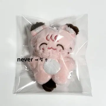 NCT nct127 재희 봉제 인형 10cm 인형