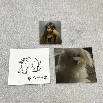 카티 스티커 세트