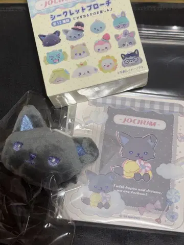 JOCHUM 피하이 브로치 경질 케이스