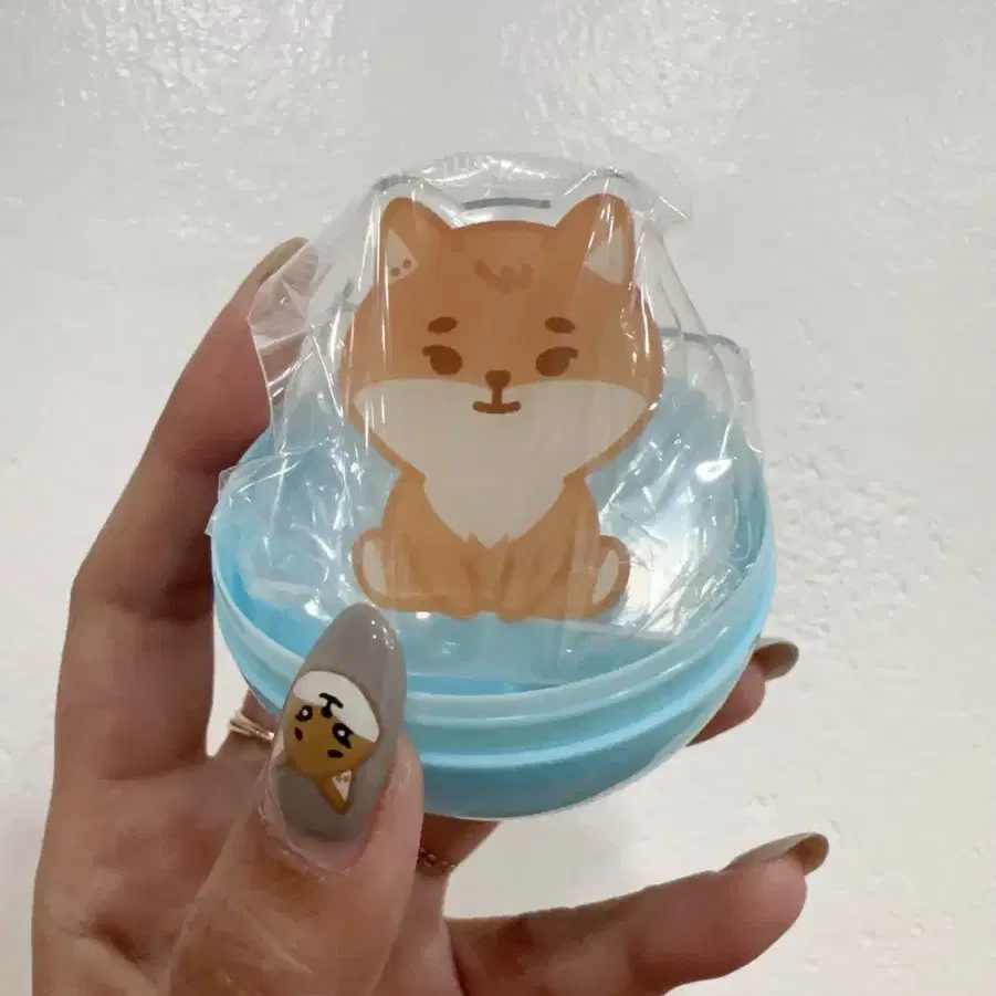 DAY6 | 데이식스 DAY6 zip pop up, poca (DAY6) KE goods on