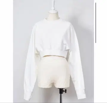 Rosarymoon ~BASIC~ Short Sweat Top