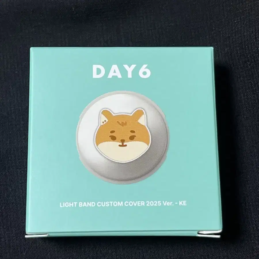 DAY6 | 데이식스 DAY6 Light Band Custom Cover Day6 Bangkedeon