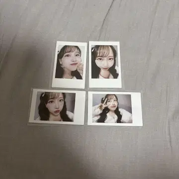마츠모토 카렌 폴라로이드
