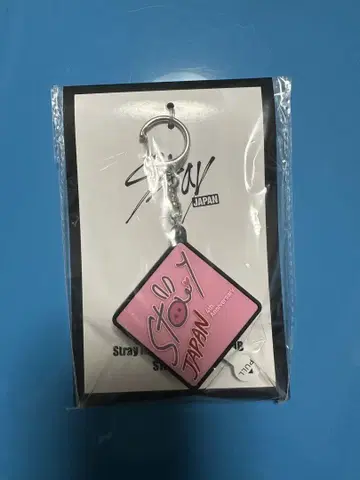 스키즈 Stray Kids 창빈 보이스 키링