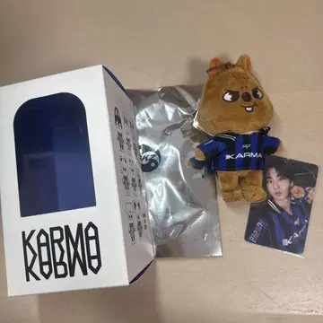 straykids 한 KARMA skzoo
