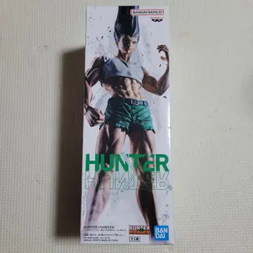 HUNTER x HUNTER 곤 프리크스 피규어
