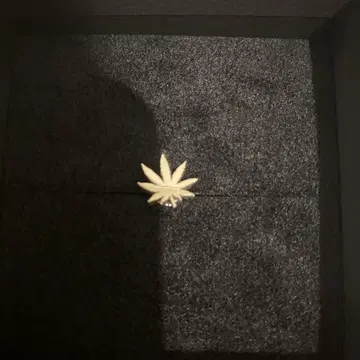 하프 귀걸이