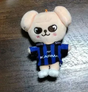 Straykids KARMA skzoo ver 승민 퍼핌
