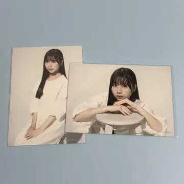 쿠도 유아 2장 세트