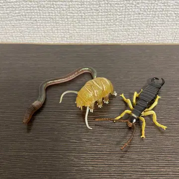 뒷마당의 생물 3종 세트
