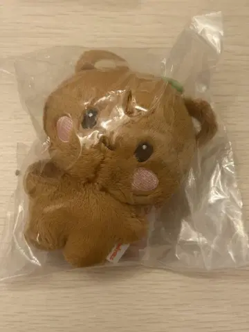 ATEEZ ANITEEZ 팝업 키링 종호