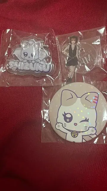 ME:I 캡슐 토이 이이다 시즈쿠