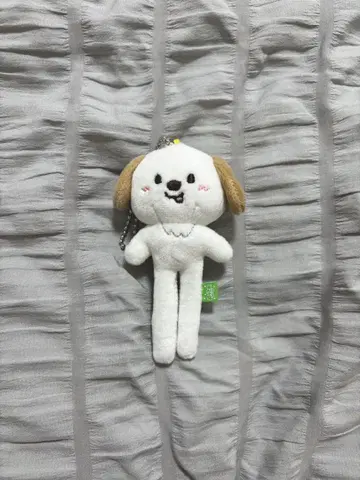 RIIZE 팝업 앤톤 몽룡이 발길이 봉제 인형