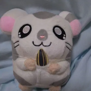 달려라 하니 코우시군