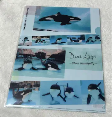 나고야항 수족관 A4 클리어 파일 Dear Lynn 린 아스 범고래