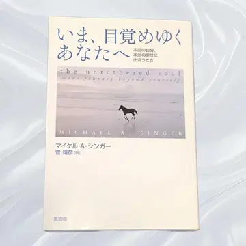 지금, 눈뜨는 당신에게 마이클 A 싱거