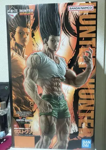 HUNTER HUNTER 곤 프리 자유 피규어