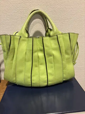 Lupo 라이트 그린 플리츠 디자인 핸드백