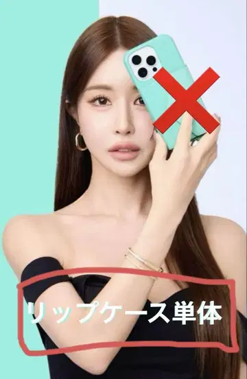 스즈키 아미 씨 립 케이스 단품