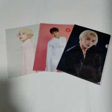 SEVENTEEN 클리어 파일 3개 세트