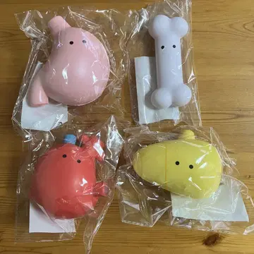 FANS 쫀득쫀득! 인간의 몸 스퀴즈