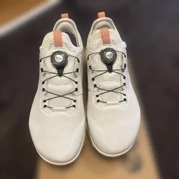 ECCO GORE-TEX SURROUND 골프화