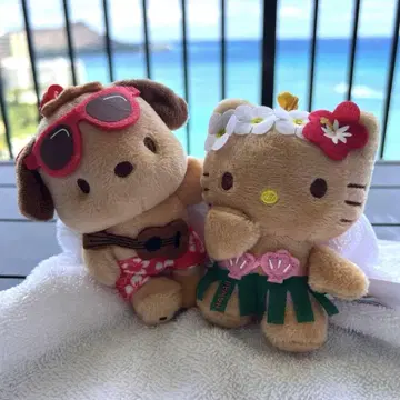 2개 세트